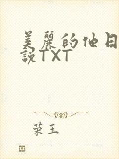 美丽的他日剧小说TXT