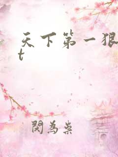 天下第一狠txt