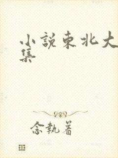 小说东北大炕全集