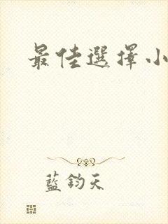 最佳选择小说