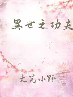 异世之功夫之王