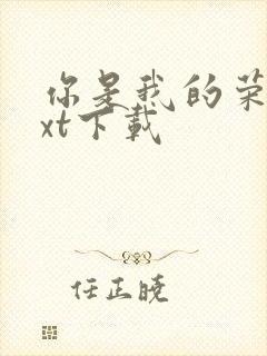 你是我的荣耀txt下载