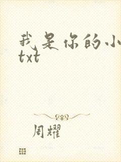 我是你的小小狗txt