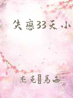 失恋33天小说