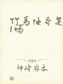 竹马他哥是1v1吗