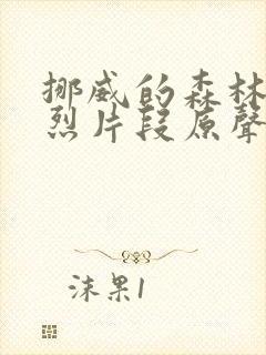 挪威的森林的激烈片段原声