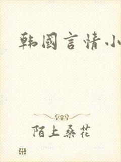 韩国言情小说