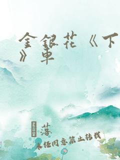 金银花《下厨房》车