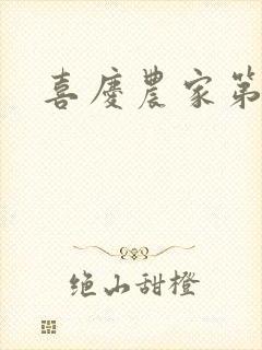 喜庆农家第二部