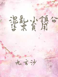 混乱小镇公交车售票员用