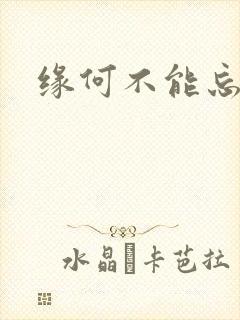 缘何不能忘记你