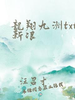 龙翔九洲txt新浪