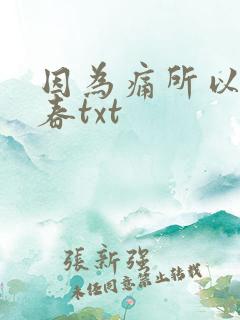 因为痛所以叫青春txt