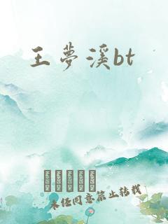 王梦溪bt