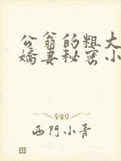 公翁的粗大放进娇妻秘密小说