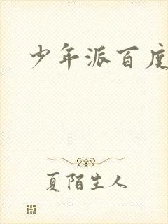 少年派百度百科