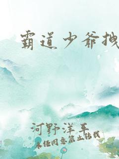 霸道少爷拽上我