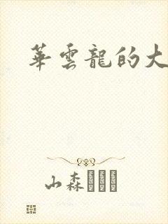 华云龙的大宝贝