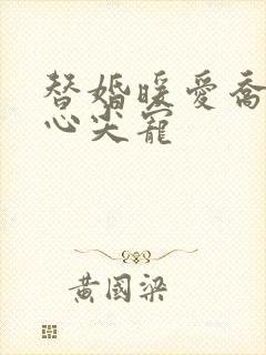 替婚暖爱乔少的心尖宠