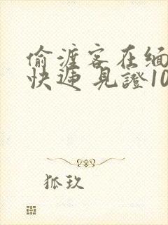 偷渡客在缅北送快递 见证100种逃亡