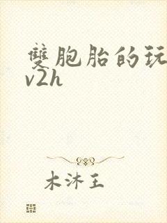 双胞胎的玩具1v2h