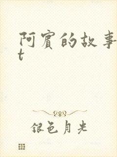 阿宾的故事txt
