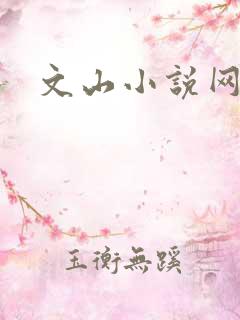 文山小说网