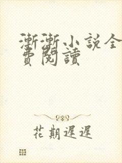 渐渐小说全文免费阅读