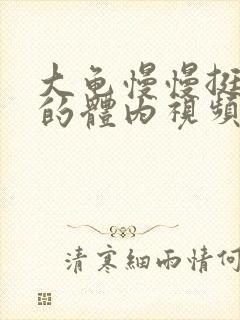 大龟慢慢挺进我的体内视频