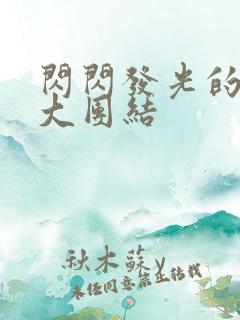 闪闪发光的小说大团结