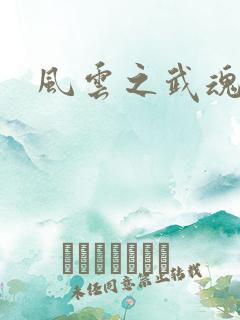风云之武魂