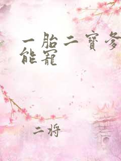 一胎二宝爹地超能宠