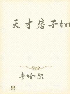 天才痞子txt