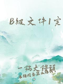 B级文件1完整
