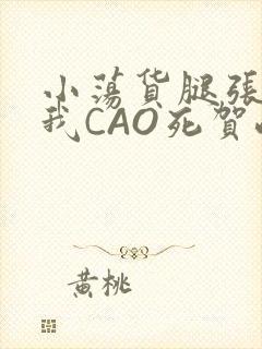 小荡货腿张开让我CAO死贺峻霖