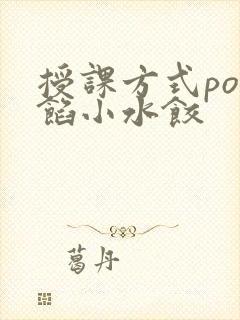 授课方式po肉馅小水饺