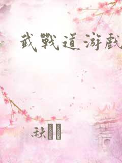 武战道游戏
