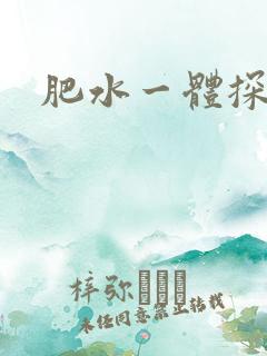 肥水一体探岳体