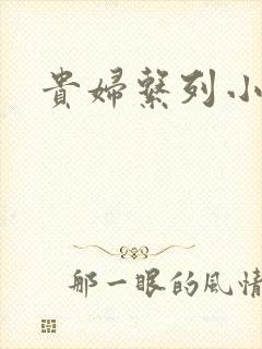 贵妇系列小多美