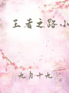 王者之路小说