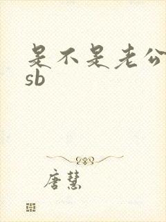 是不是老公的小sb