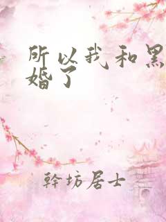所以我和黑粉结婚了