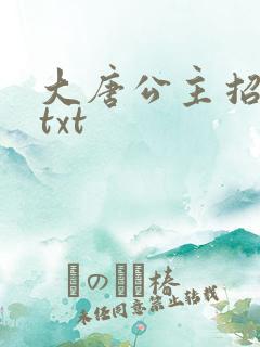 大唐公主招亲记txt