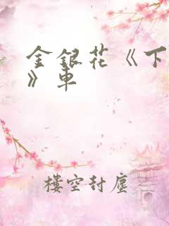 金银花《下厨房》车