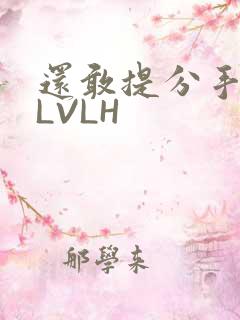 还敢提分手吗嗯LVLH