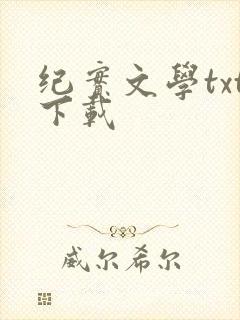 纪实文学txt下载