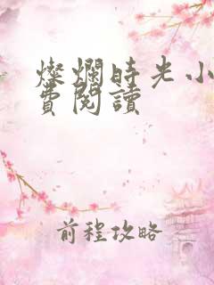 灿烂时光小说免费阅读