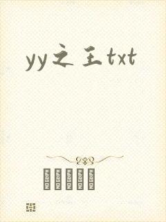 yy之王txt