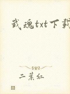 武魂txt下载
