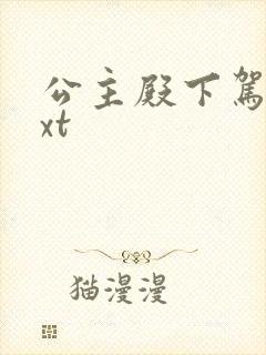 公主殿下驾到txt